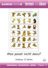 Was-passt-nicht-dazu.pdf